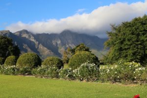 southafrica_wine_35